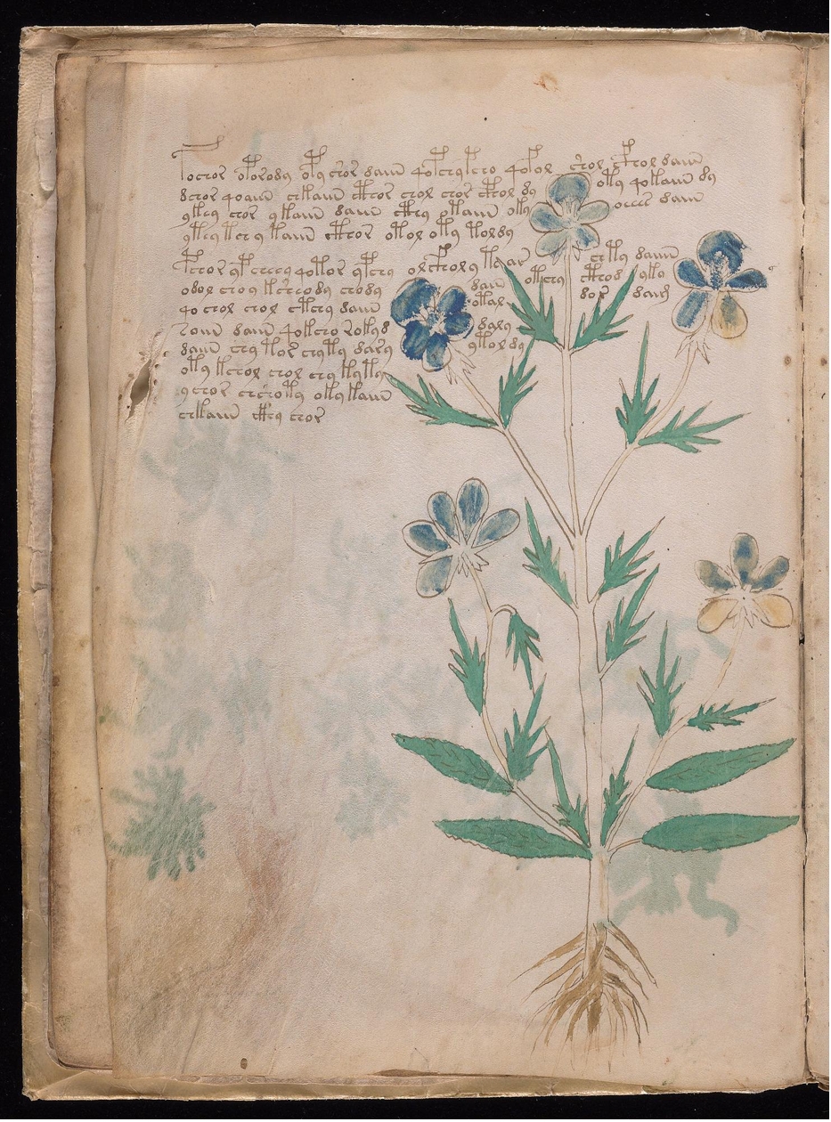 Original manuscript of Folio 9v